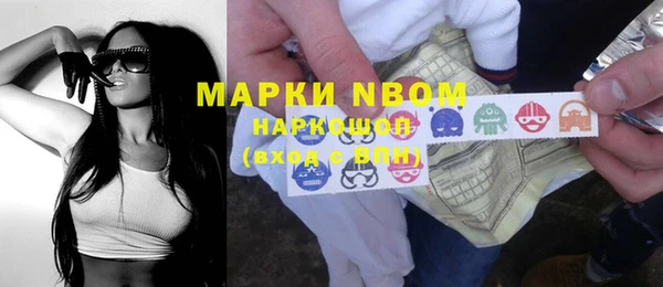 соль ск Бородино