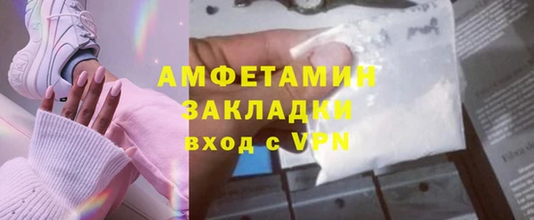 амф Тайга