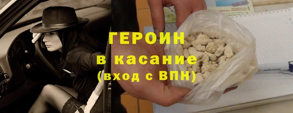 амф Тайга