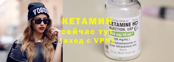 амф Тайга