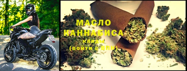 амф Тайга