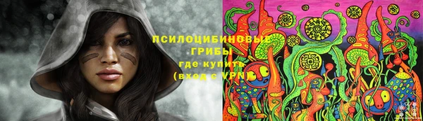 дурь Бугульма